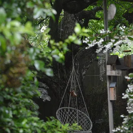 Menedek. A Szallas. Felsőtárkány