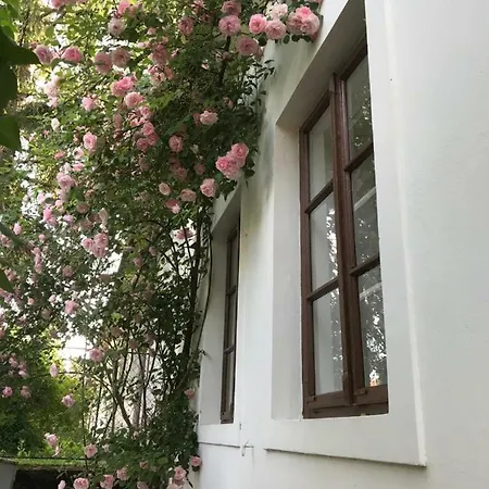 Menedek. A Szallas. فندق *